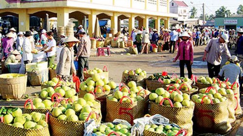bán hàng nông sản