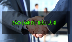 Những quy định của pháp luật về đảm bảo dự thầu